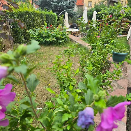 Apartmanski Smestaj Solaris Kod Aqua Parka Superior & Family