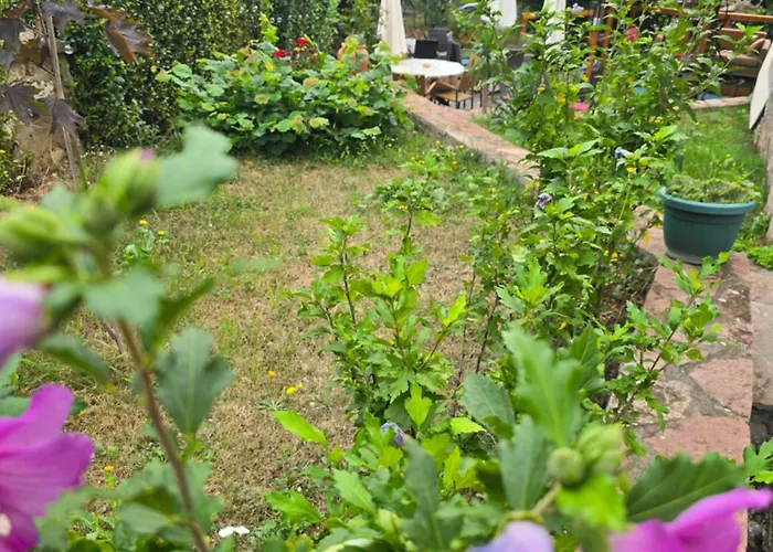 Apartmanski Smestaj Solaris Kod Aqua Parka Superior & Family